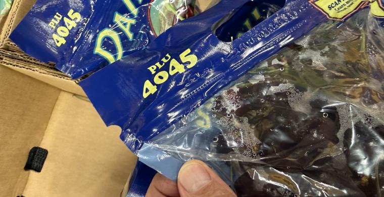 Sealed Bags