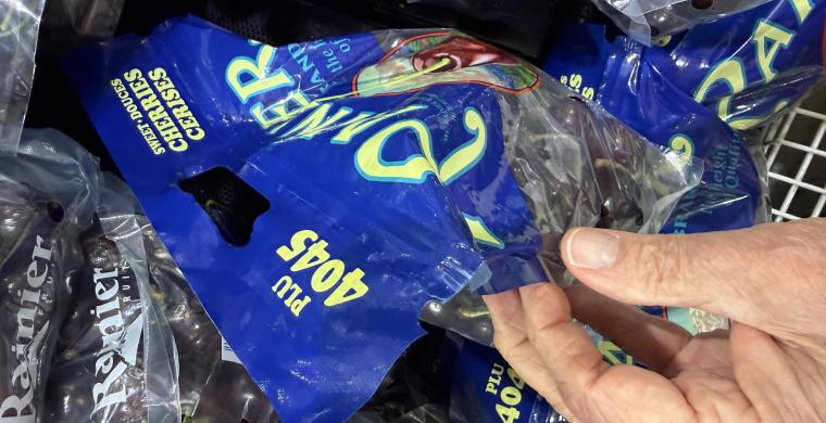 Sealed bags